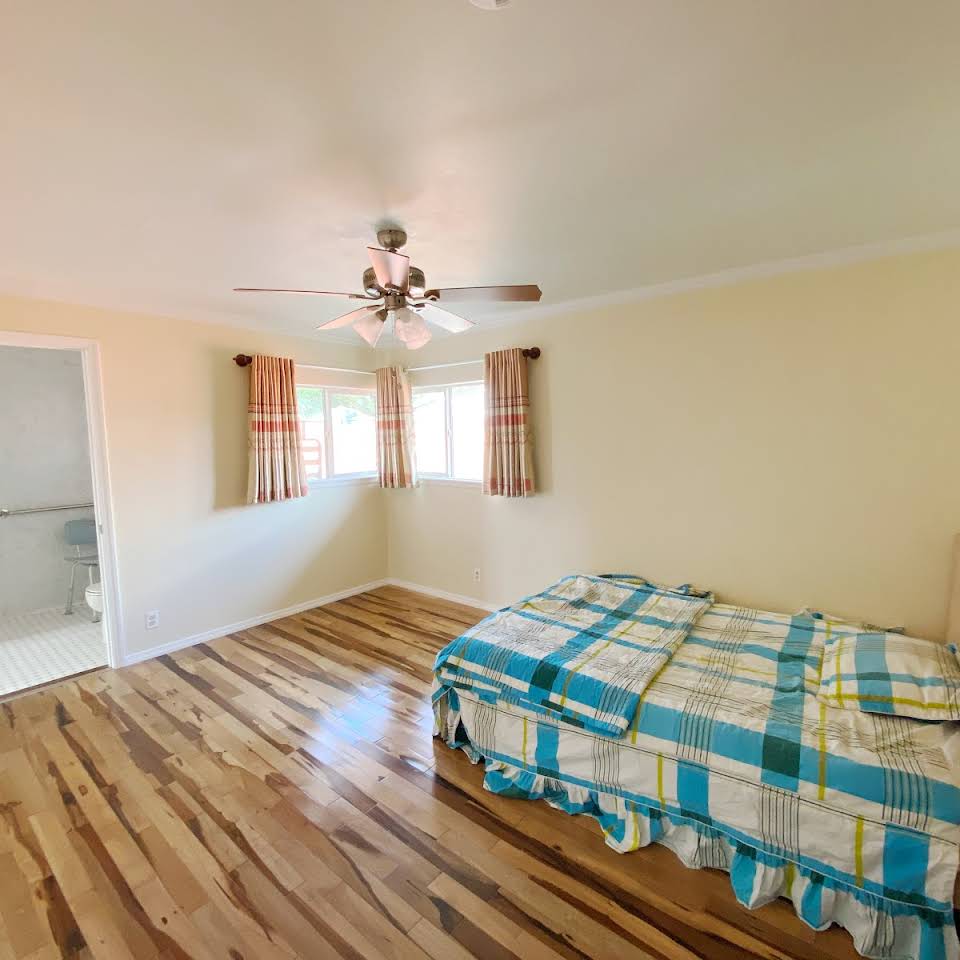 Garden and outdoor seating